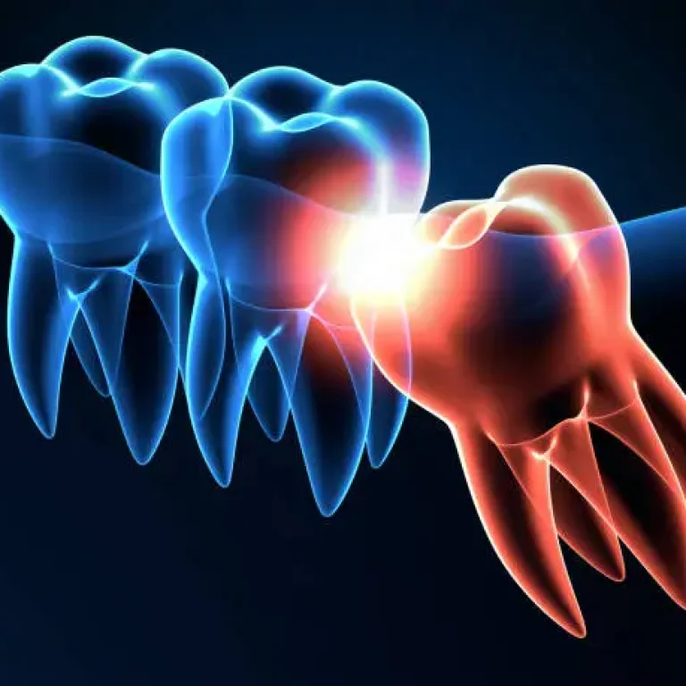 Istockphoto-1254343528-612x612